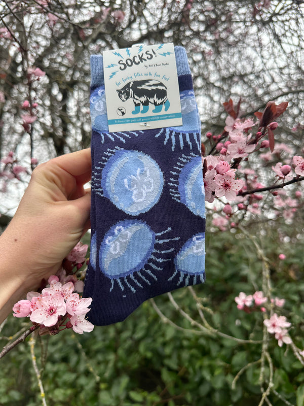 Owl & Bear Studio | Moon Jellyfish Socks