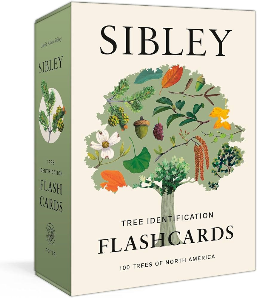 Sibley Tree Identification Flash Cards