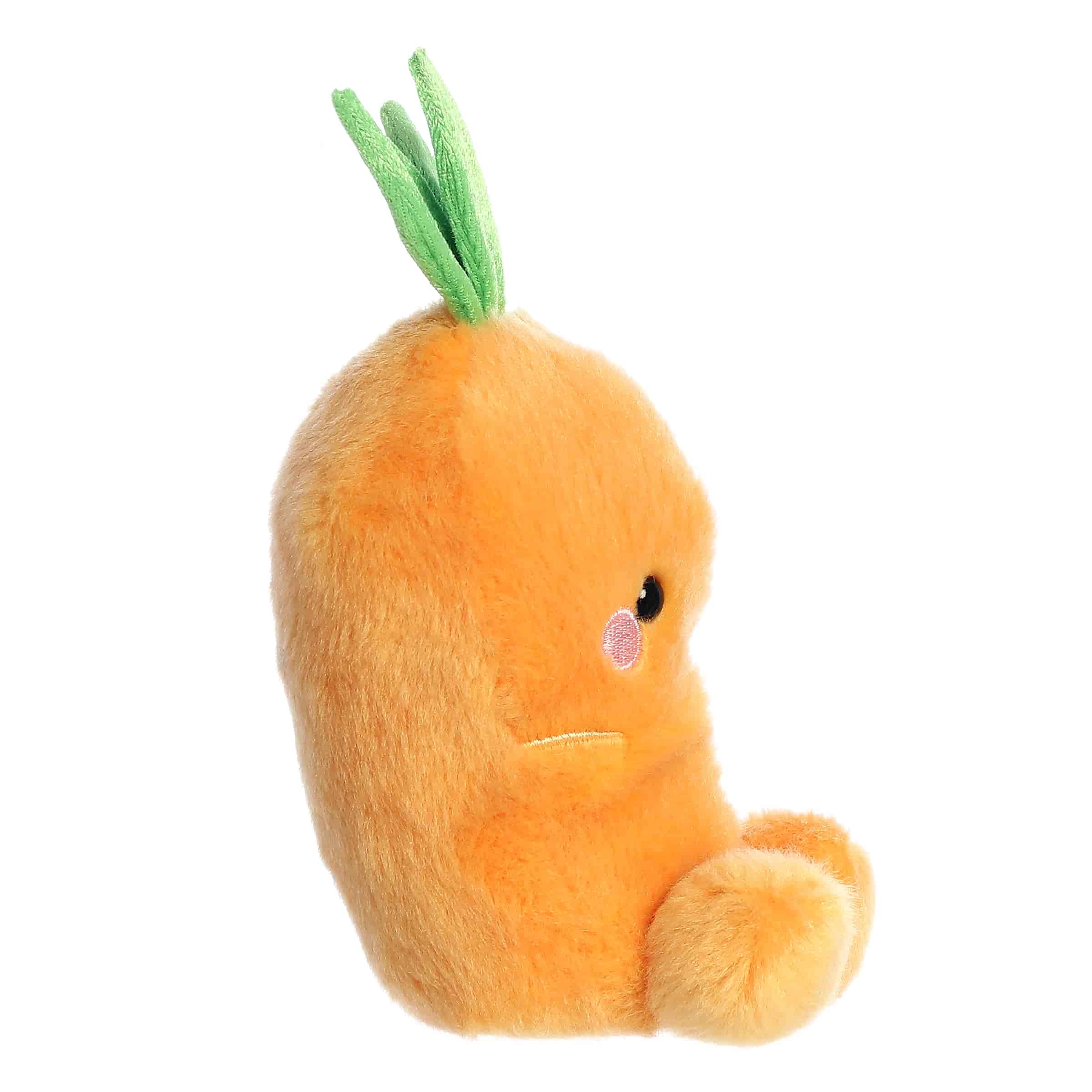 Palm Pals | Cheerful Carrot