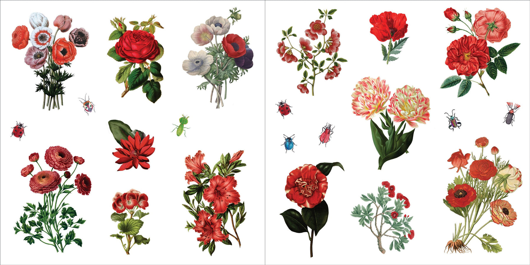 Peter Pauper Press | Bunches of Botanicals Sticker Book