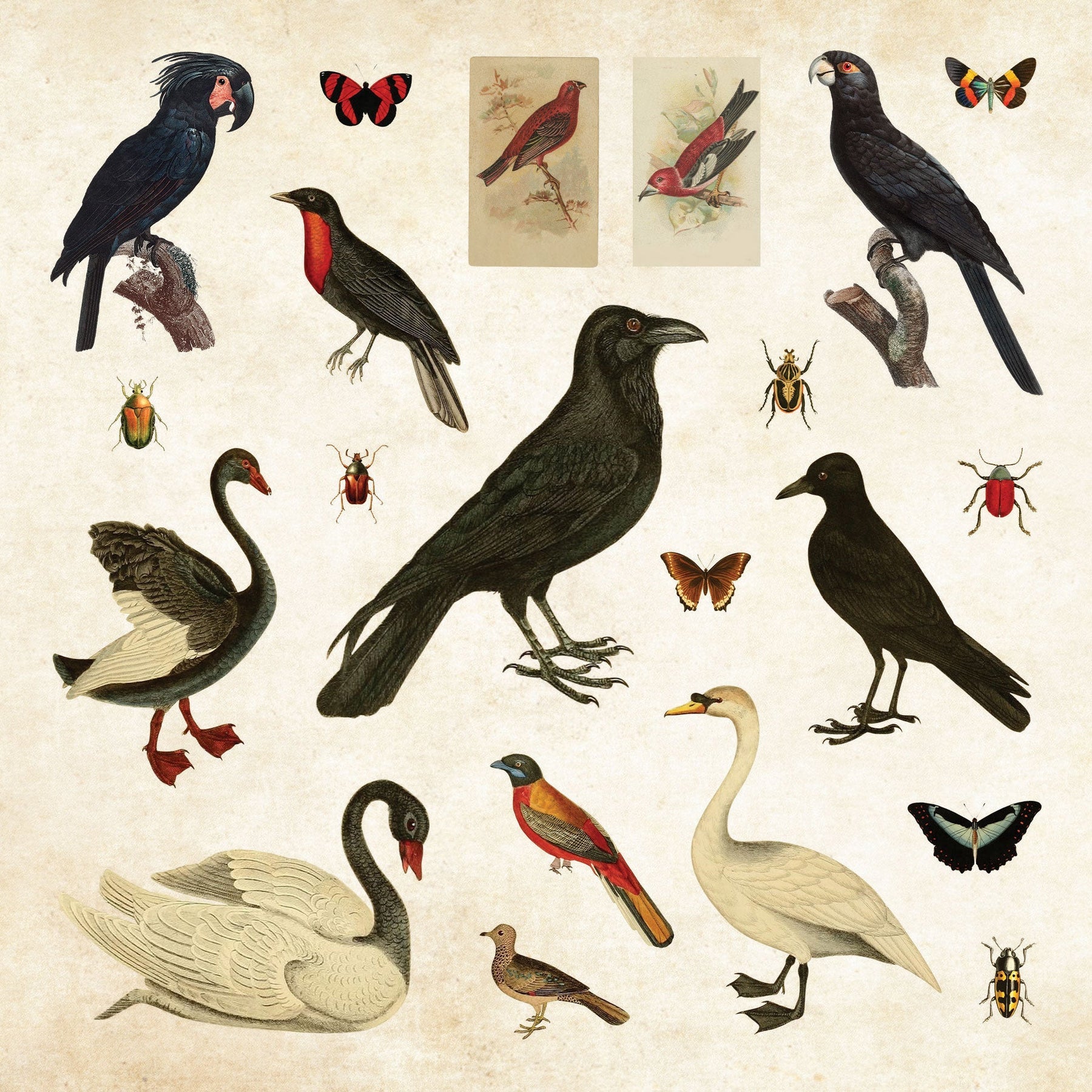 Mystical Ephemera | An Enchanting Vintage Sticker Book