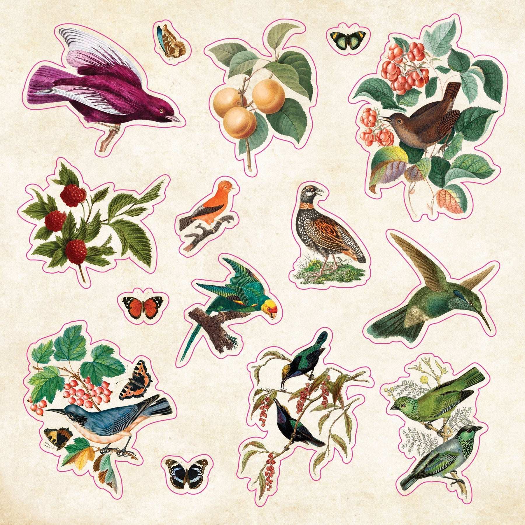 The Sticker Book of Curiosities | An Eclectic Compendium of Vintage Stickers