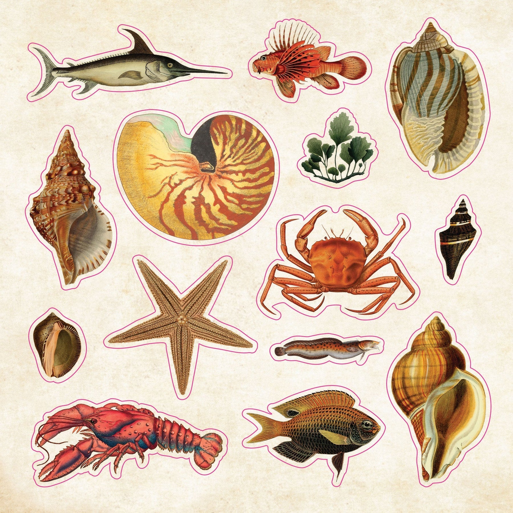 Peter Pauper Press | The Sticker Book of Curiosities