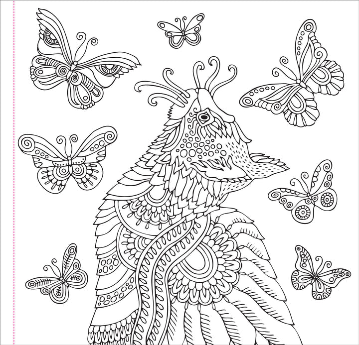 Peter Pauper Press | Cute and Curious Cats Colouring Book