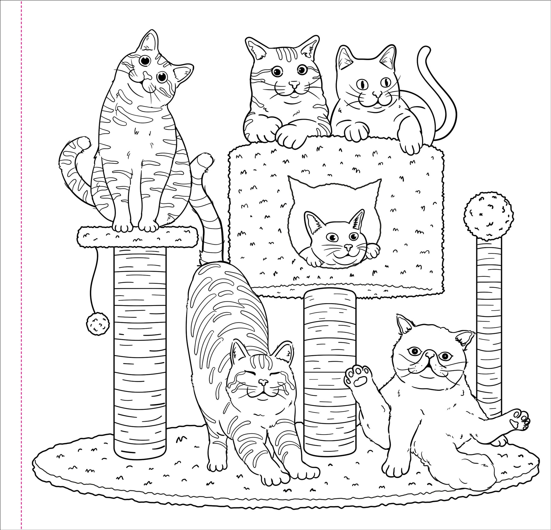 Peter Pauper Press | Cute and Curious Cats Colouring Book