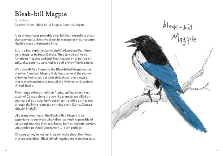 A Dumb Bird's Field Guide to the Worst Birds Ever