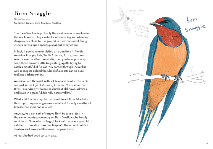 A Dumb Bird's Field Guide to the Worst Birds Ever