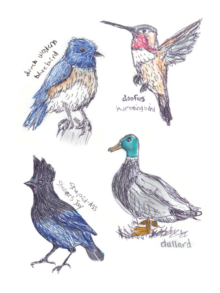 The Field Guide to Dumb Birds | Sticker Book