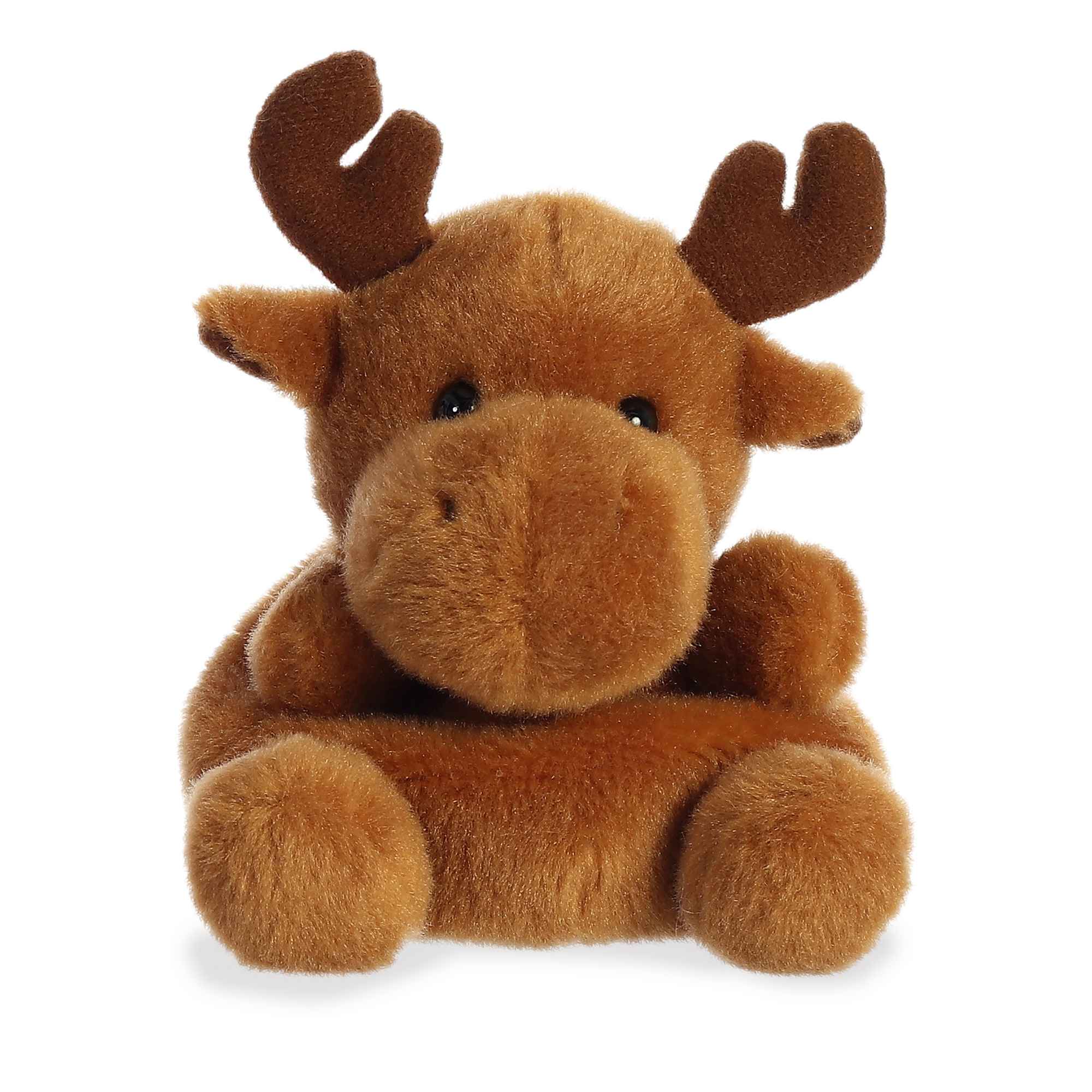 Palm Pals | Cinnamon Moose