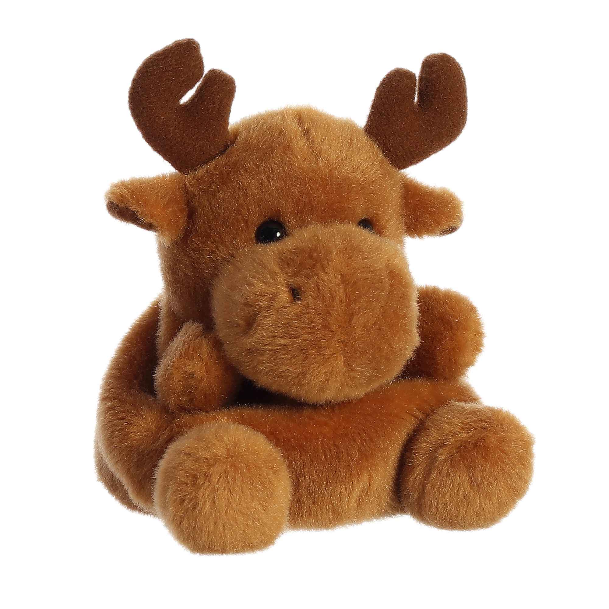 Palm Pals | Cinnamon Moose