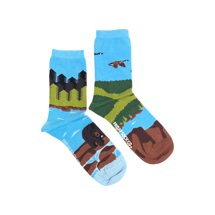 Friday Sock Co. |  Women's Socks | The Shield Canadian Landscape