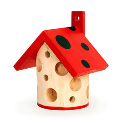 Kikkerland | Ladybug House