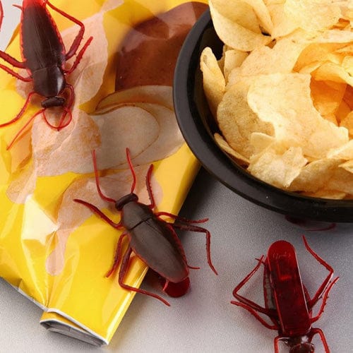 Fred | Roach Clips Bag Clips