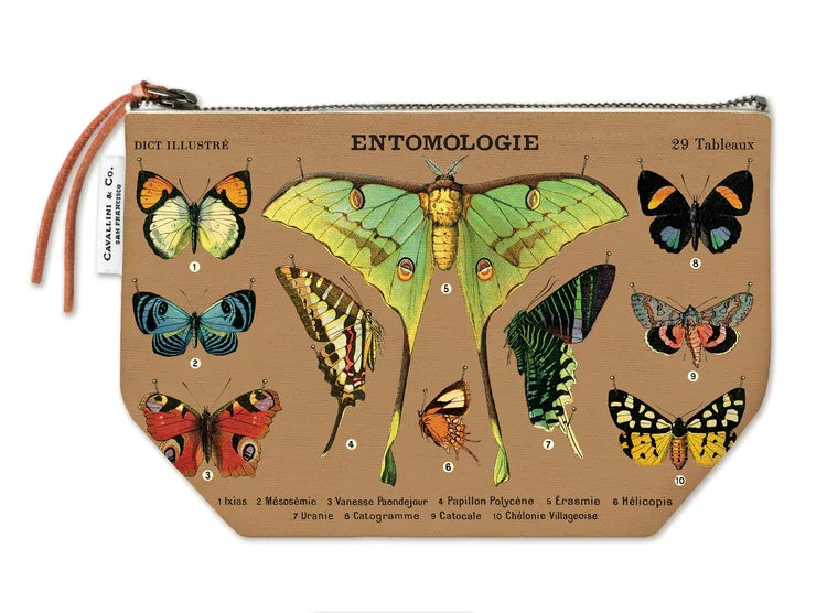 Cavallini & Co. | Vintage Pouch | Entomologie