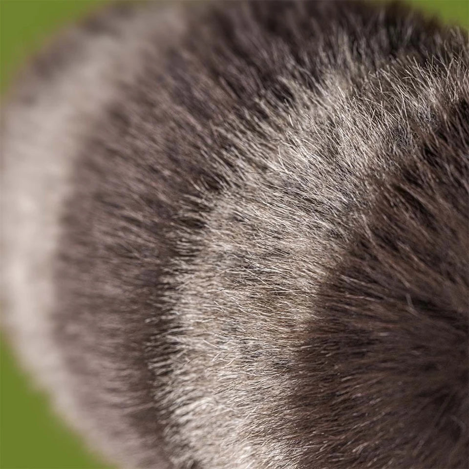 Jellycat | Trixiwoo Raccoon