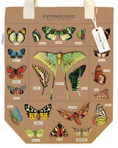 Cavallini & Co. | Tote Bag | Entomologie