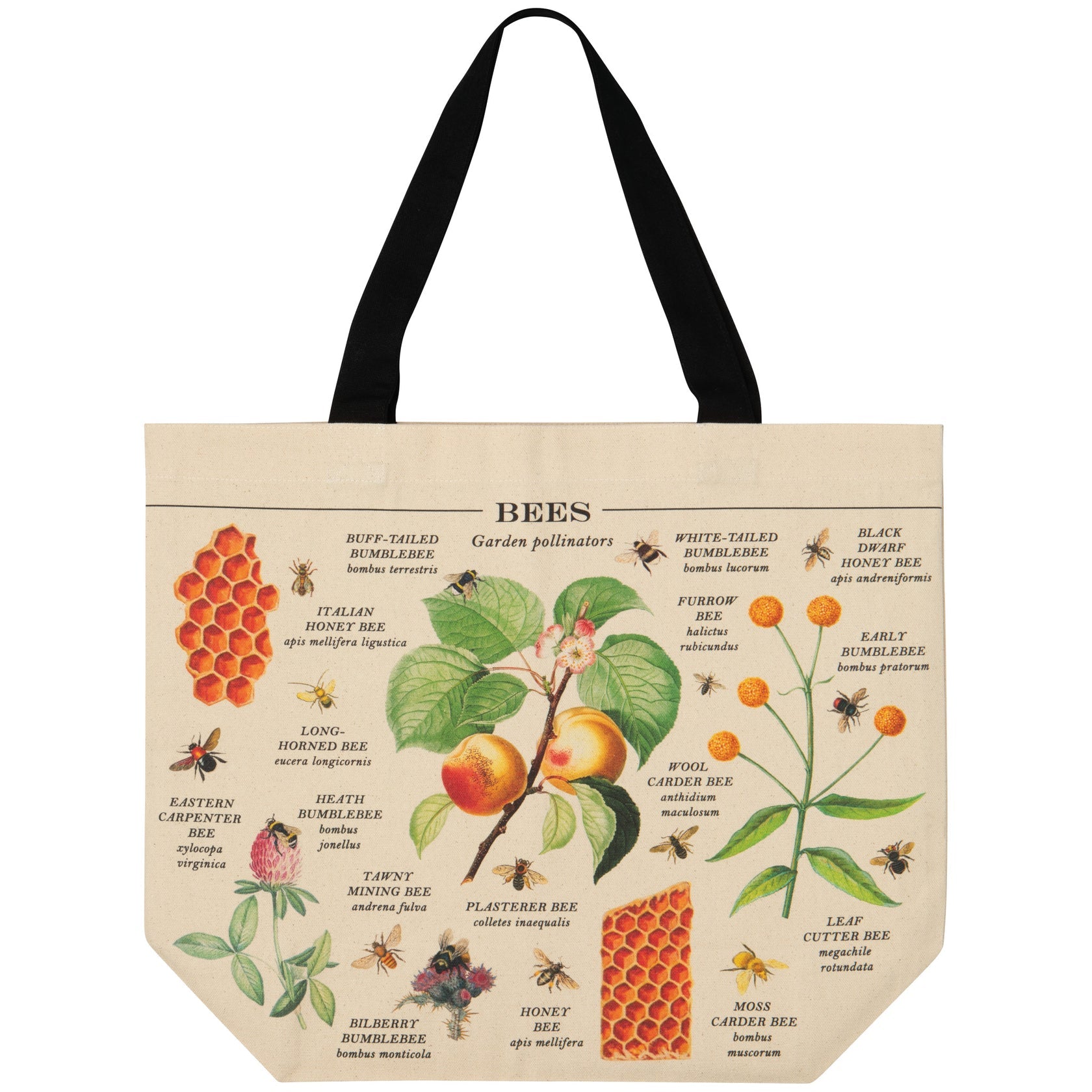 Now Designs | Bee Varieties Tote Bag