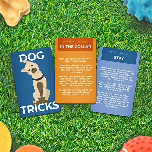 Dog Tricks | Gift Republic