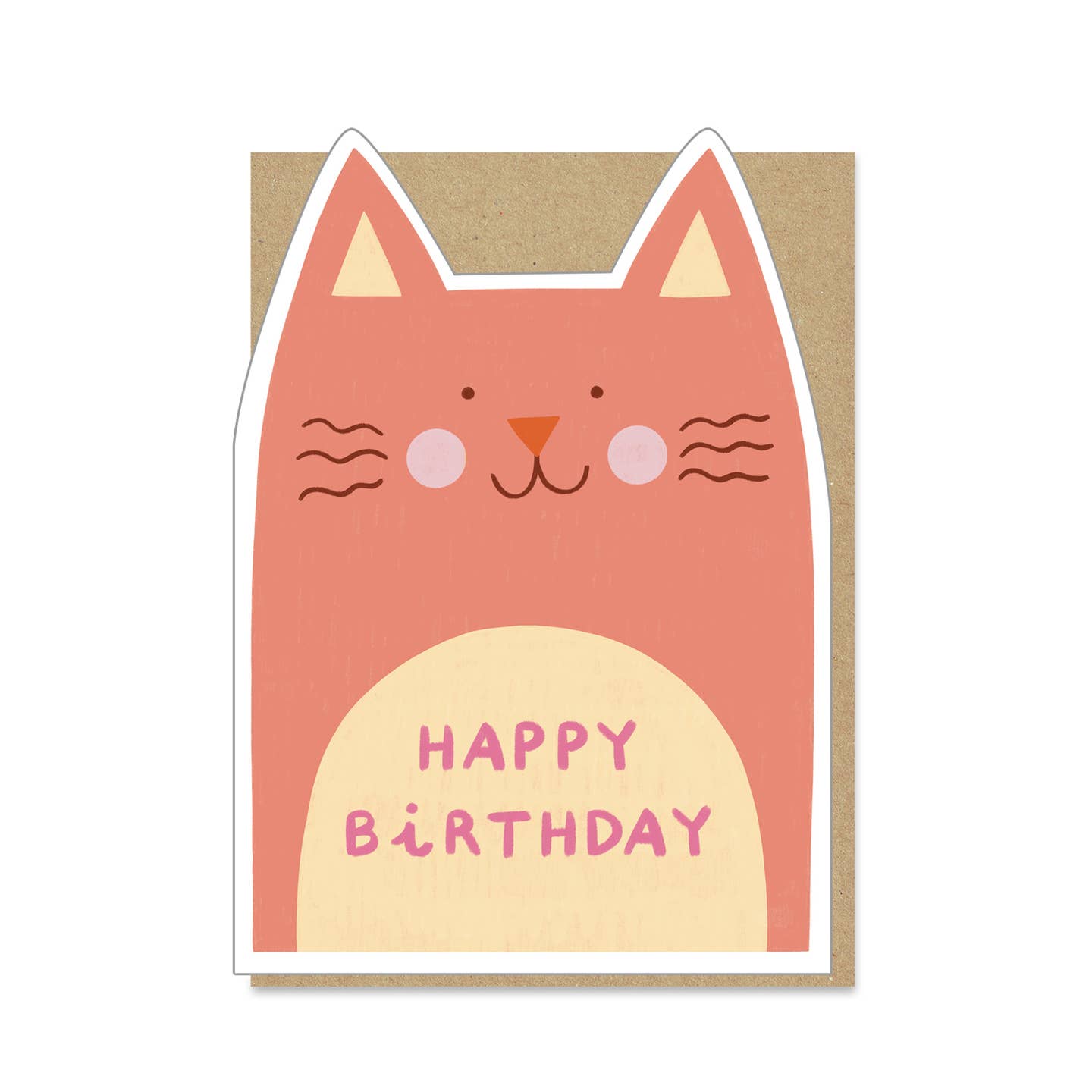 Stormy Knight | Cute Cat Birthday Card