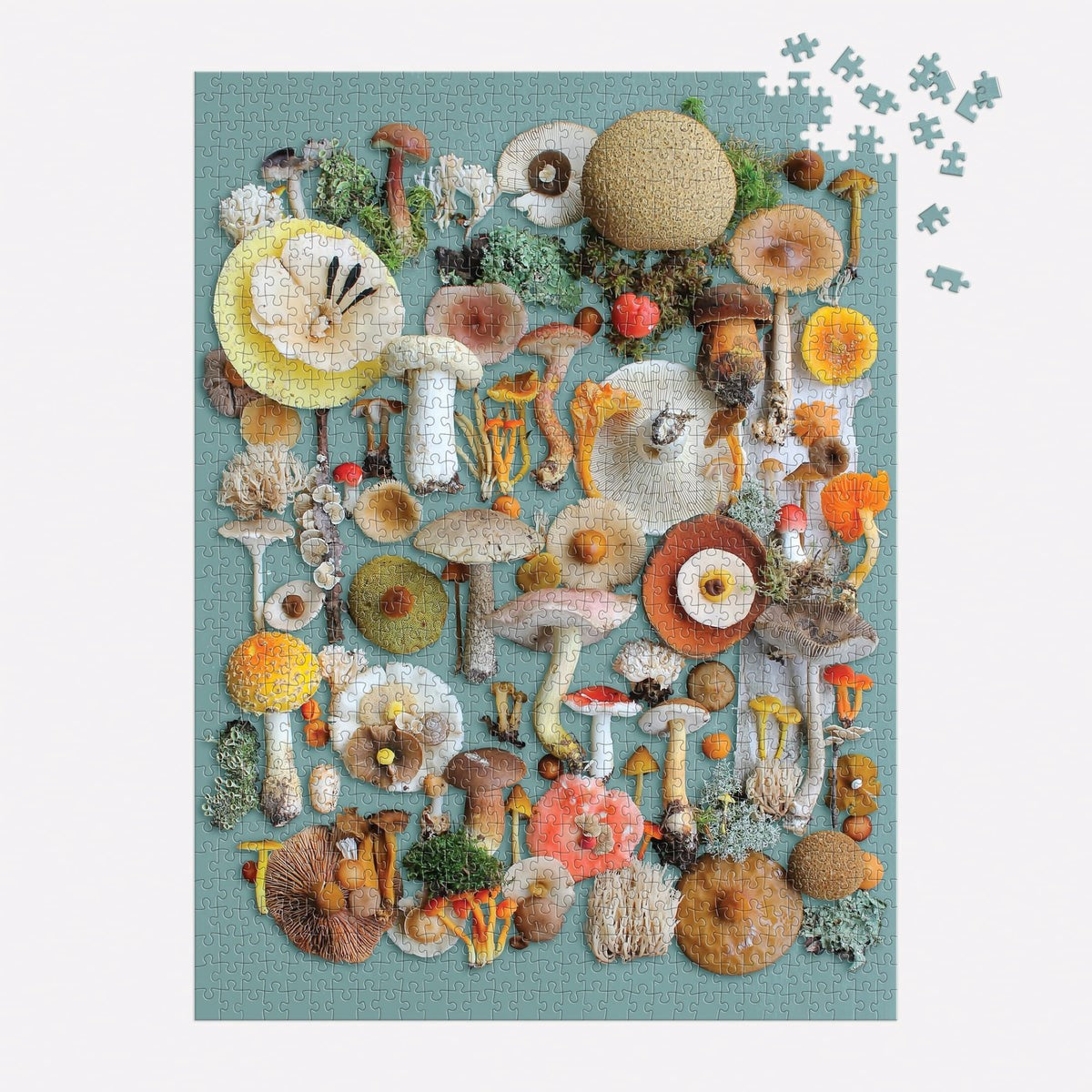 Galison | Foraged 1000 piece puzzle - Oscar & Libby's
