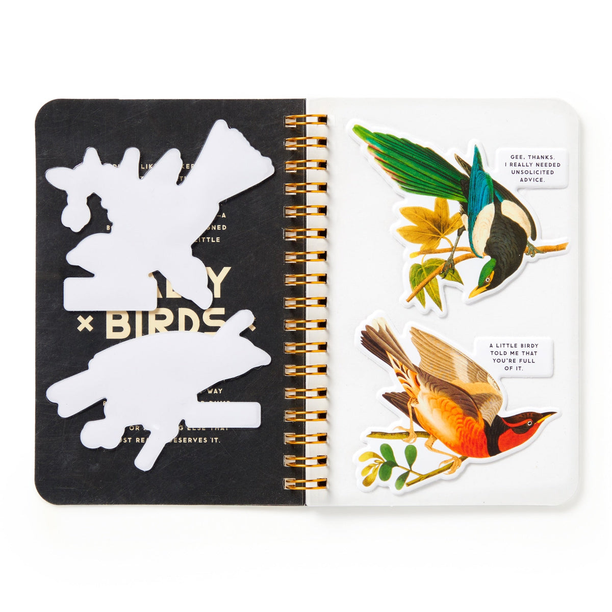 Brass Monkey | Salty Birds Sticker Book