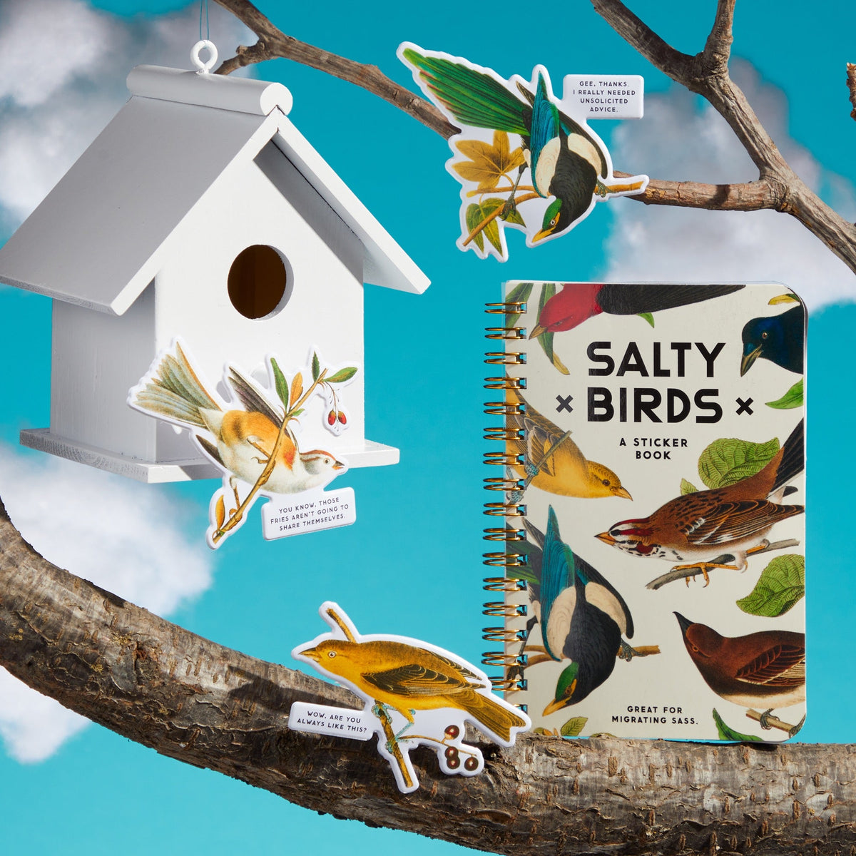 Brass Monkey | Salty Birds Sticker Book