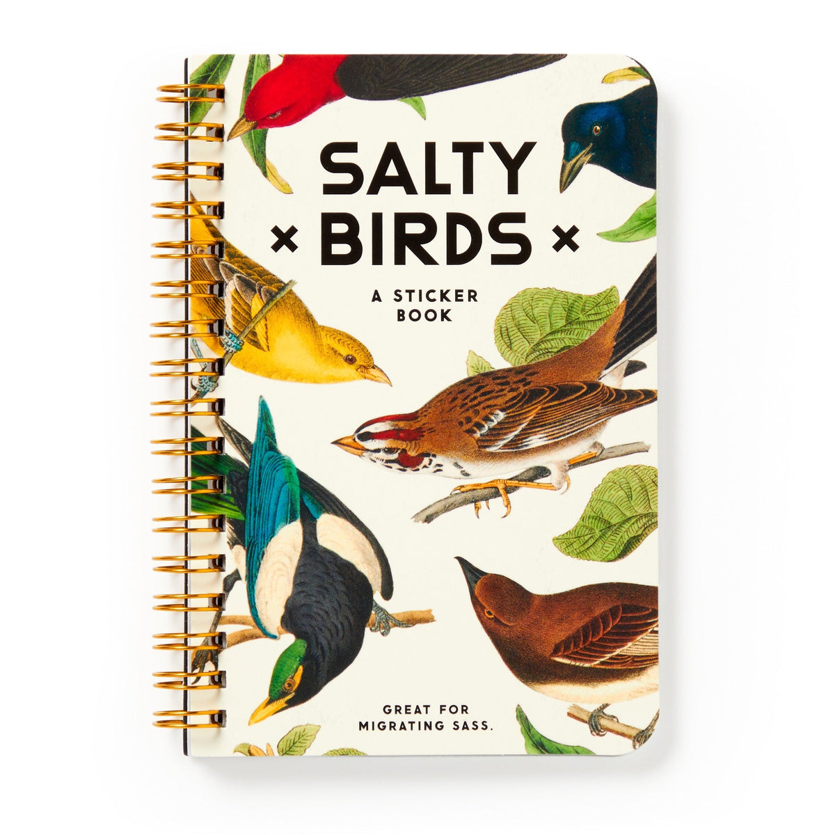 Brass Monkey | Salty Birds Sticker Book