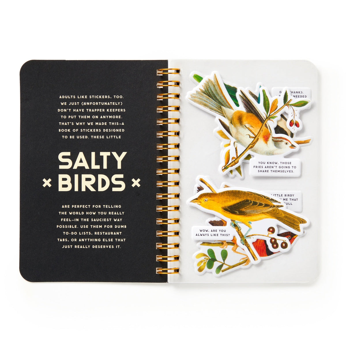 Brass Monkey | Salty Birds Sticker Book