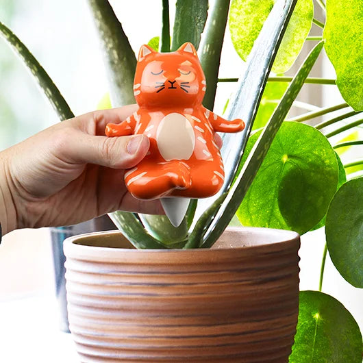 Gift Republic | Yoga Cat Water Dispenser