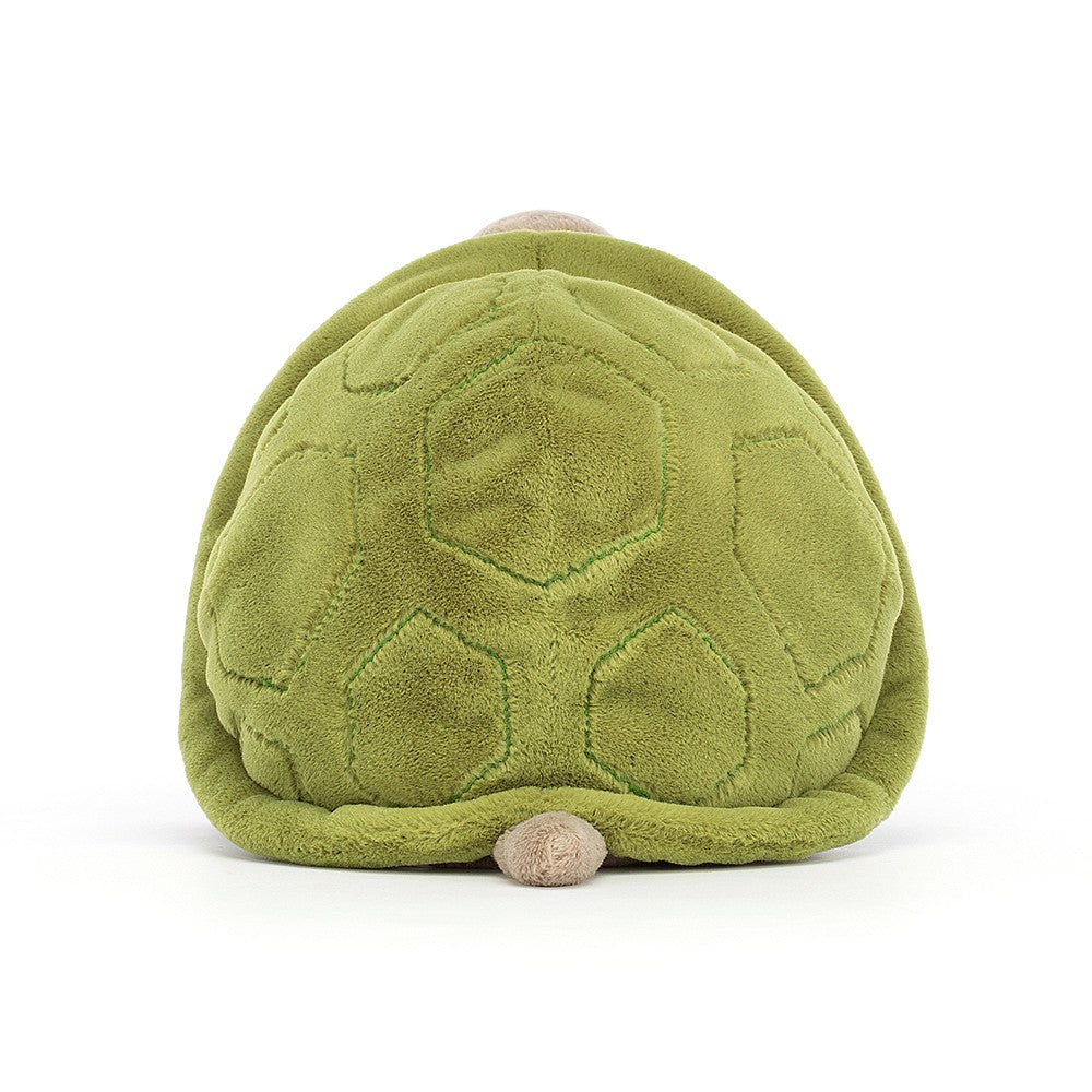 Timmy Turtle - Oscar & Libby's