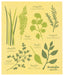 Les Fine Herbs Swedish Sponge Cloth | Danica Danica - Oscar & Libby's