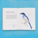 The Field Guide To Dumb Birds of the Whole Stupid World Chronicle Books - Oscar & Libby's