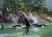 Cobble Hill | Orcas 1000 piece puzzle Cobble Hill - Oscar & Libby's