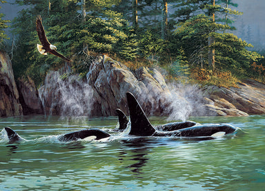 Cobble Hill | Orcas 1000 piece puzzle Cobble Hill - Oscar & Libby's