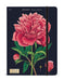 Botany Large Notebook | Cavallini Cavallini & Co - Oscar & Libby's