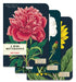 Botany Maps 3 Pack Mini Notebooks | Cavallini Cavallini & Co - Oscar & Libby's