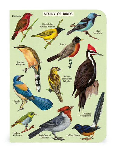 Bird Watching 3 Pack Mini Notebooks | Cavallini - Oscar & Libby's