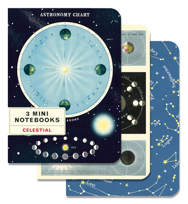 Astronomy Chart Maps 3 Pack Mini Notebooks | Cavallini Cavallini & Co - Oscar & Libby's