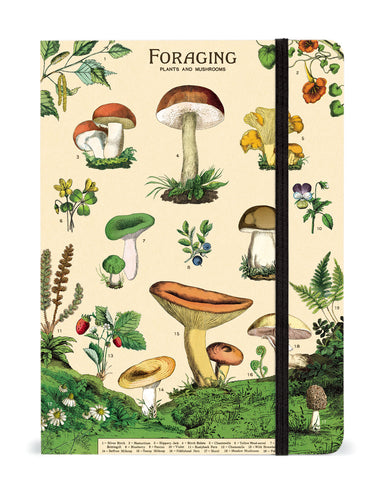 Foraging Large Notebook | Cavallini - Oscar & Libby's