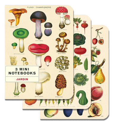 Le Jardin Maps 3 Pack Mini Notebooks | Cavallini Cavallini & Co - Oscar & Libby's
