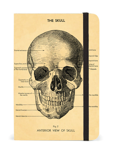 Skull Notebook  | Cavallini - Oscar & Libby's