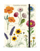 Wildflower Specimens Large Notebook | Cavallini Cavallini & Co - Oscar & Libby's