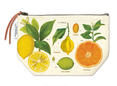 Citrus Cavallini Pouch Cavallini & Co - Oscar & Libby's