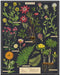 Cavallini & Co | Herbarium 1000 piece puzzle Cavallini & Co - Oscar & Libby's