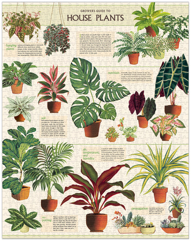Cavallini & Co | Houseplants 1000 piece puzzle Cavallini & Co - Oscar & Libby's