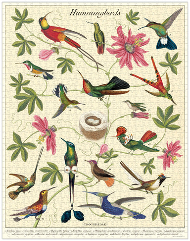 Cavallini & Co | Hummingbirds 1000 piece puzzle - Oscar & Libby's