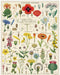 Cavallini & Co | Wildflowers 1000 piece puzzle Cavallini & Co - Oscar & Libby's
