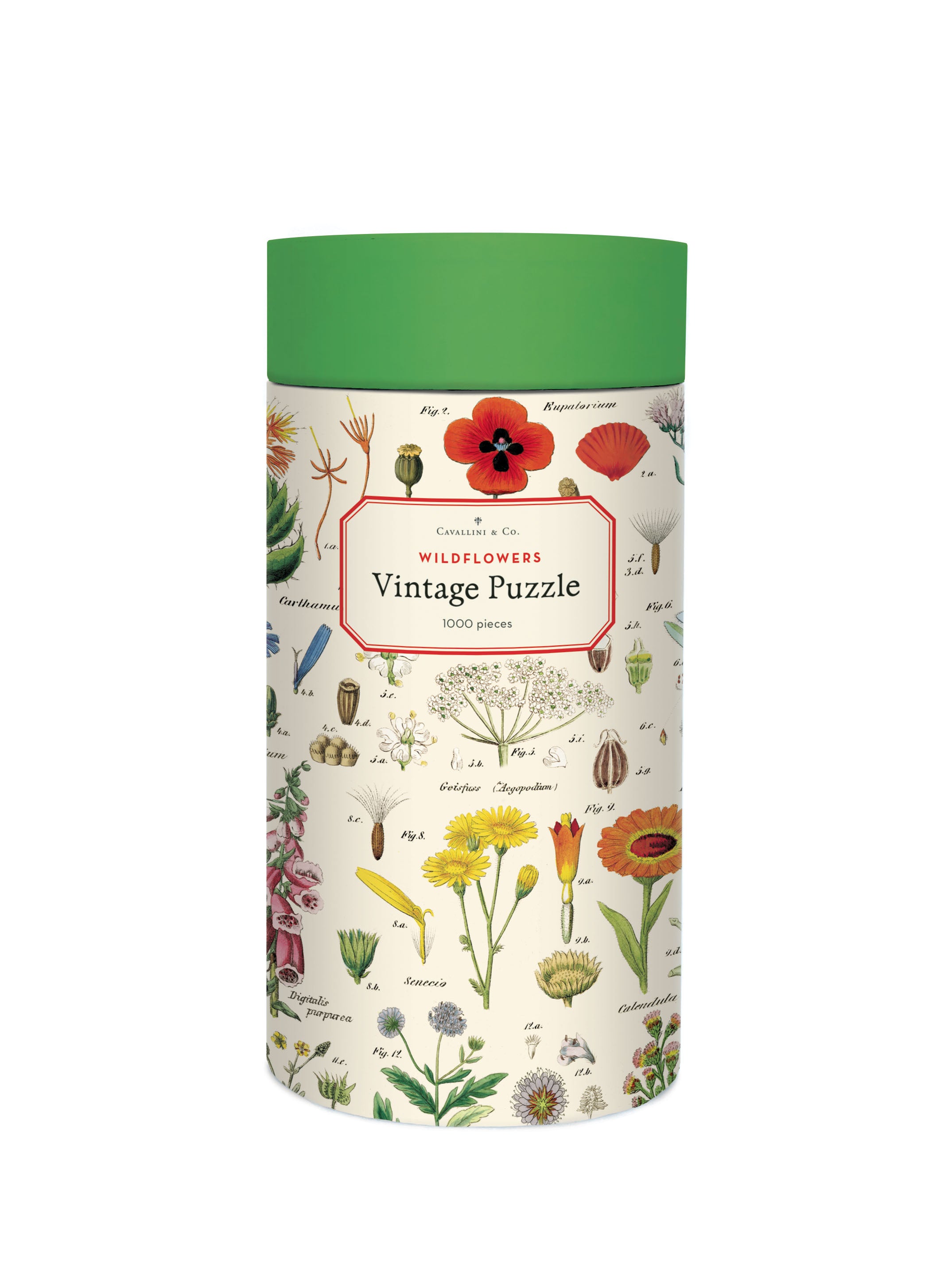Cavallini & Co | Wildflowers 1000 piece puzzle Cavallini & Co - Oscar & Libby's