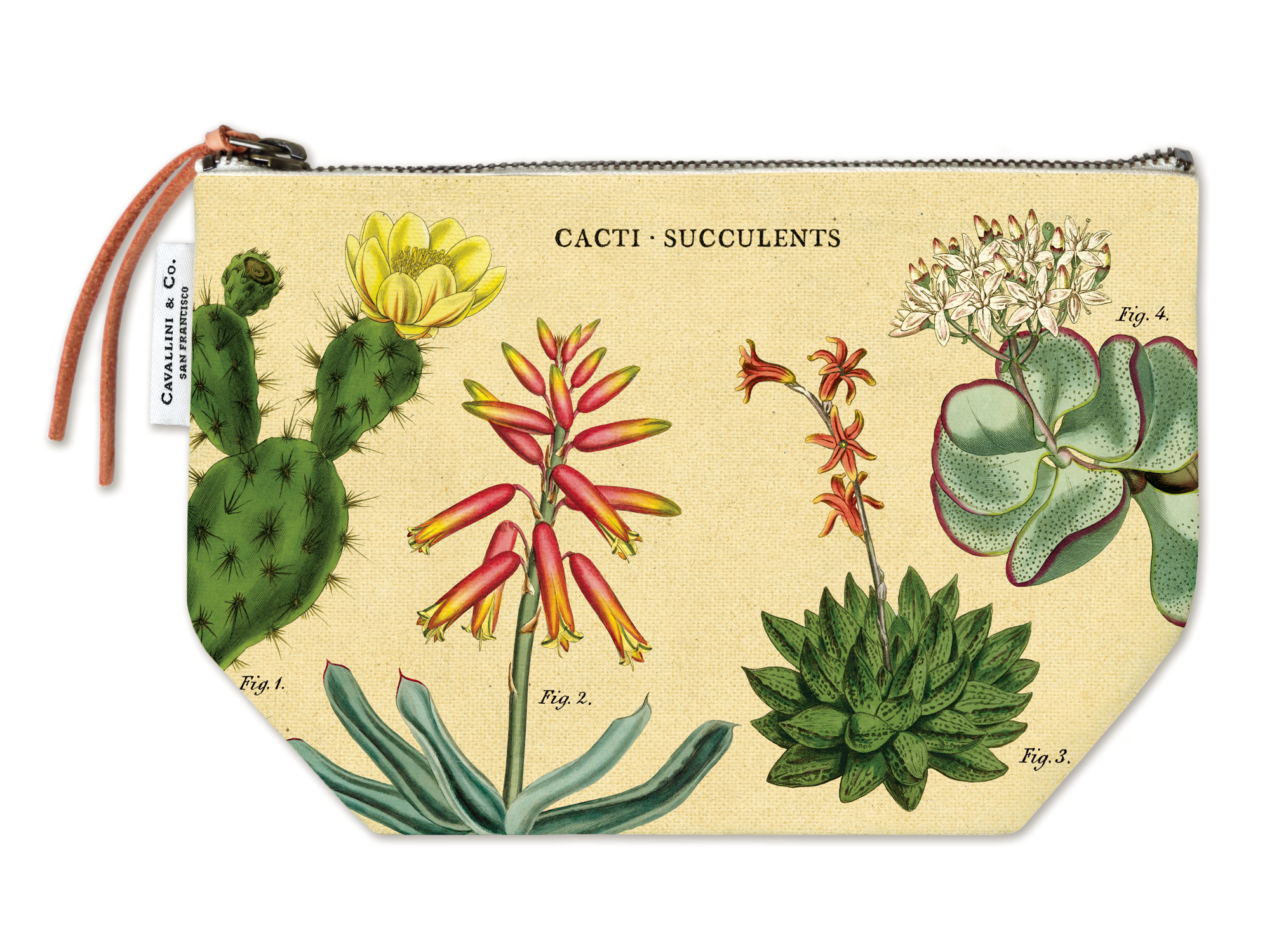 Cacti & Succulents Cavallini Pouch Cavallini & Co - Oscar & Libby's