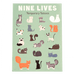 Temporary Tattoos | Nine Lives - Oscar & Libby's